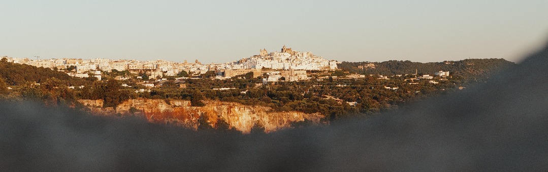 The white skyline of Ostuni at golden hour above the olive groves of Puglia